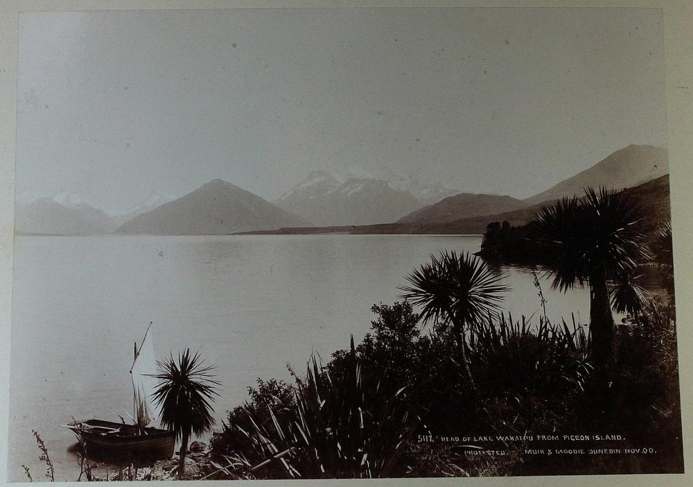 New Zealand Contemporary ph... image