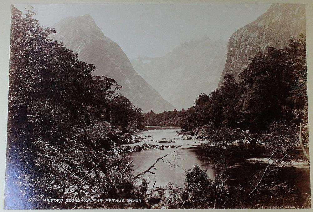 New Zealand Contemporary ph... image