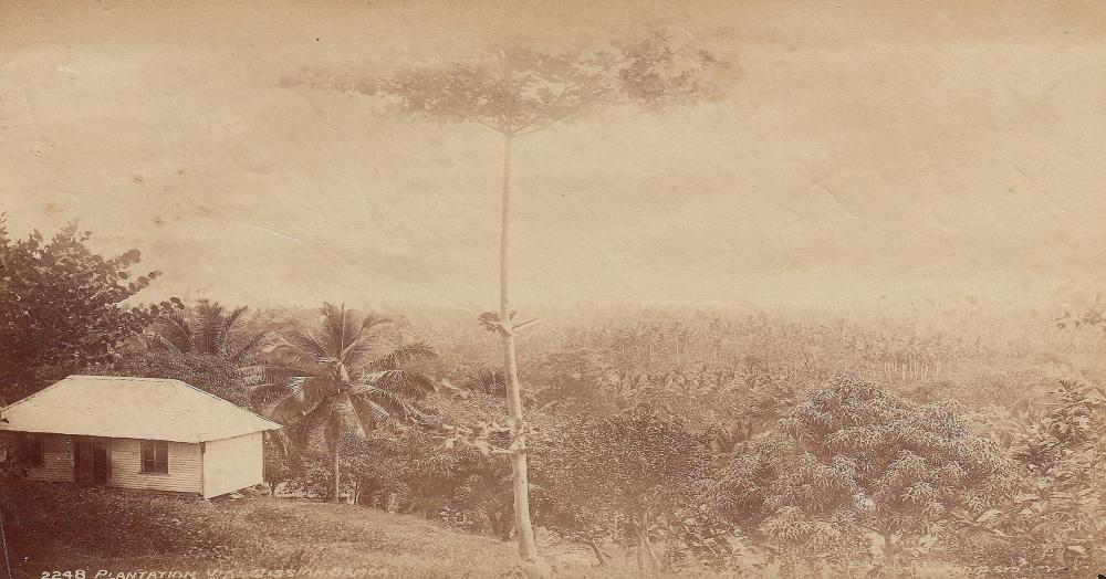 Samoa Original 'Charles Ker... image