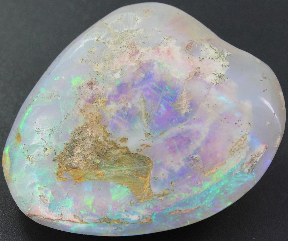 Opalized Seashell Specimen from Coober Pedy (South Australia)