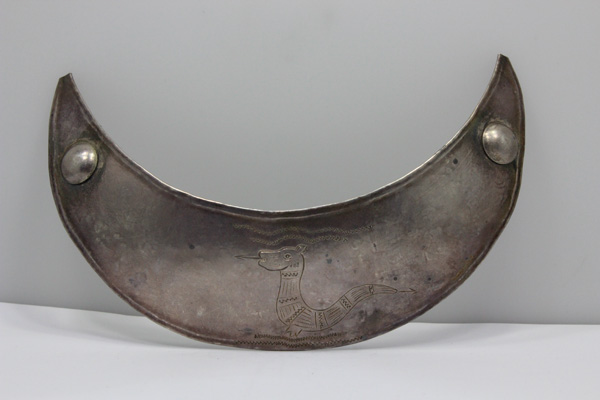 North American Native - Tra... image