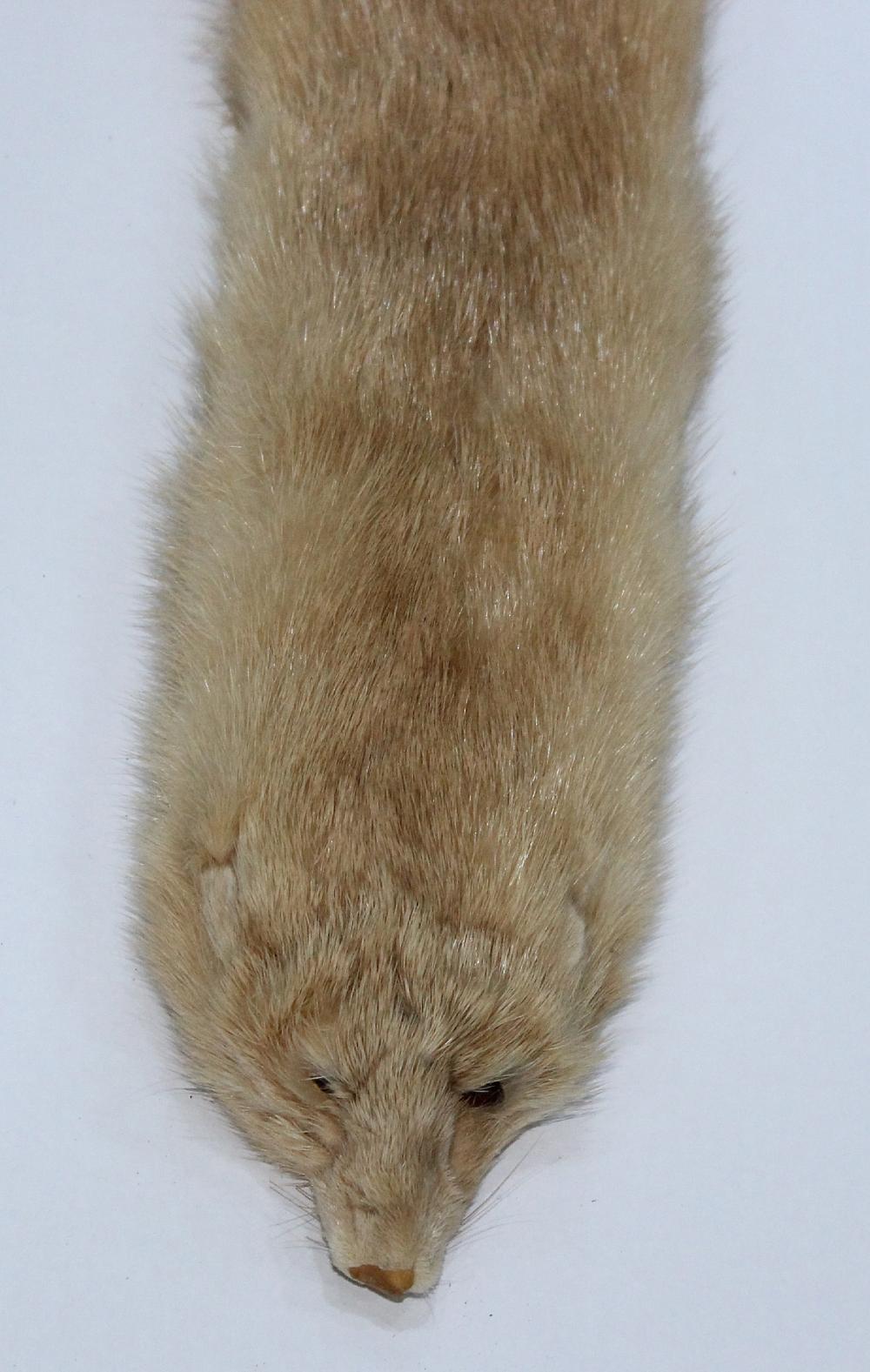 Mink Collar image