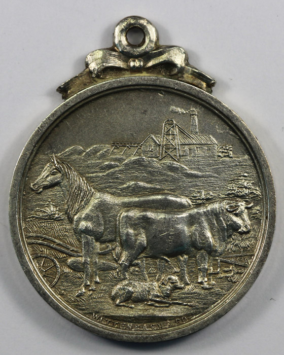 Australia. Gympie 1893 Agri... image