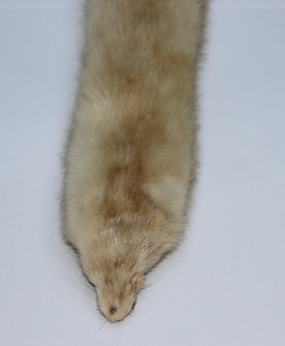 Mink Collar image
