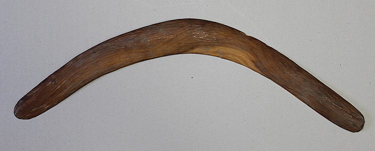 Australian Aboriginal Hunti... image