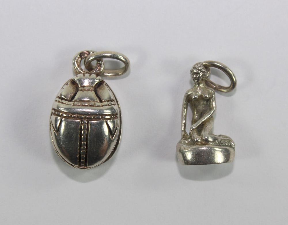 Scarab Beetle and Little Me... image