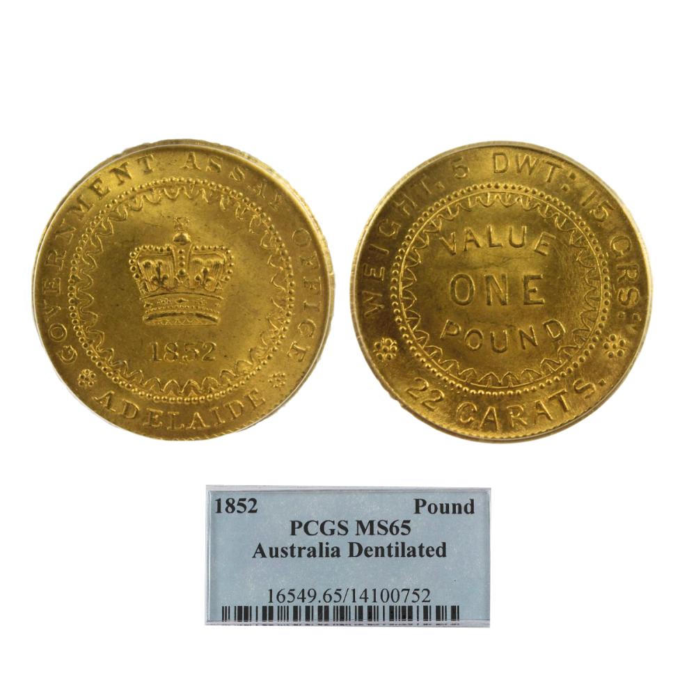 Explore Top of the Pops - 1852 Adelaide Pound Type 2 - PCGS MS65  