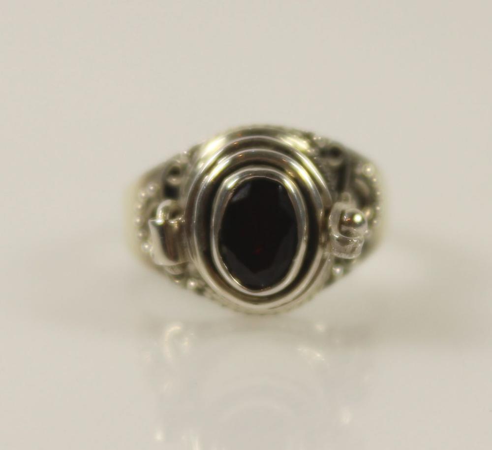 Garnet topped Assassin's Ri... image